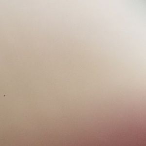 Meet your Posher, Hayley